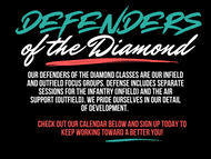 Defenders of The Diamond